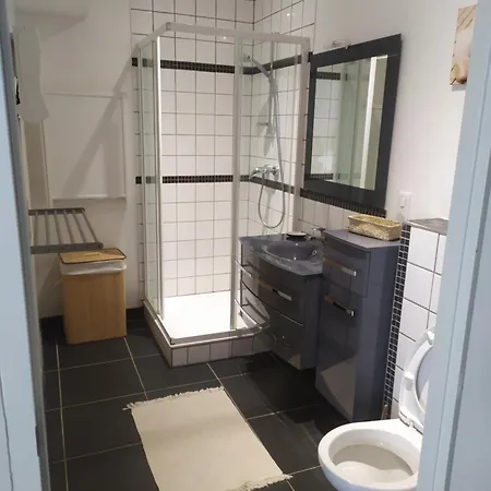 Logement Climatise Avec Piscine * Labenne