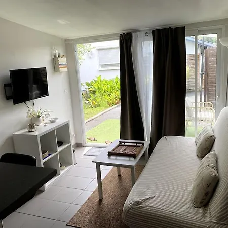 Logement Climatise Avec Piscine Labenne