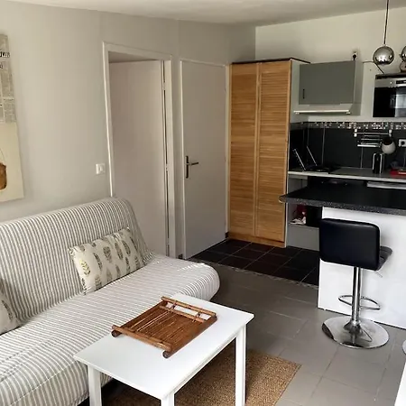 Logement Climatise Avec Piscine Semesterbostad Labenne