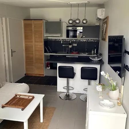 Logement Climatise Avec Piscine Semesterbostad