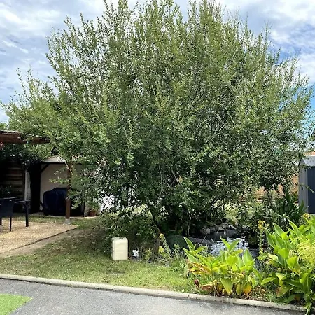 Semesterbostad Logement Climatise Avec Piscine