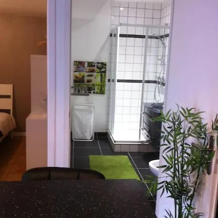 Logement Climatise Avec Piscine
