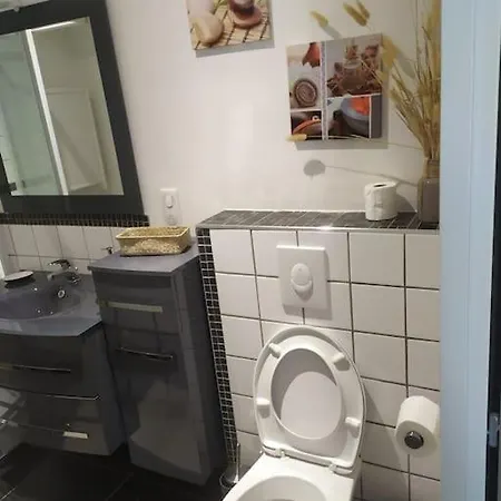 Logement Climatise Avec Piscine Vakantiehuis Labenne