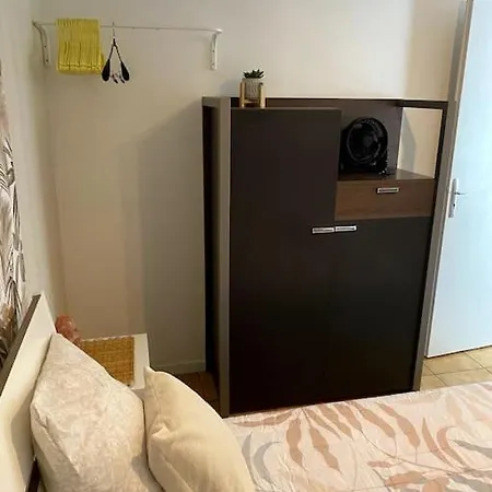 Logement Climatise Avec Piscine * Labenne